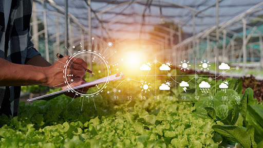 Investing in sustainable agri-food processing creates opportunities for entrepreneurship.