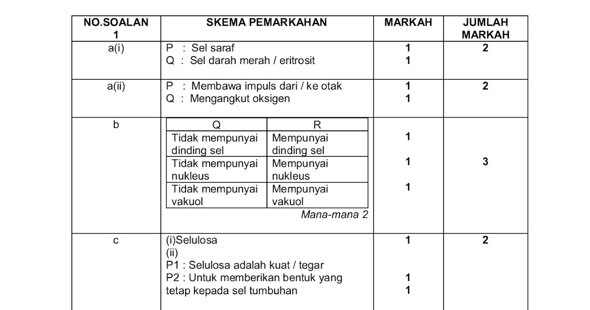 Kertas Soalan Bahasa Melayu Tahun 5  Axelmat95