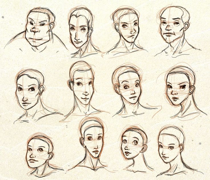 Face Shape Anime Male Face Reference - Miiasiina