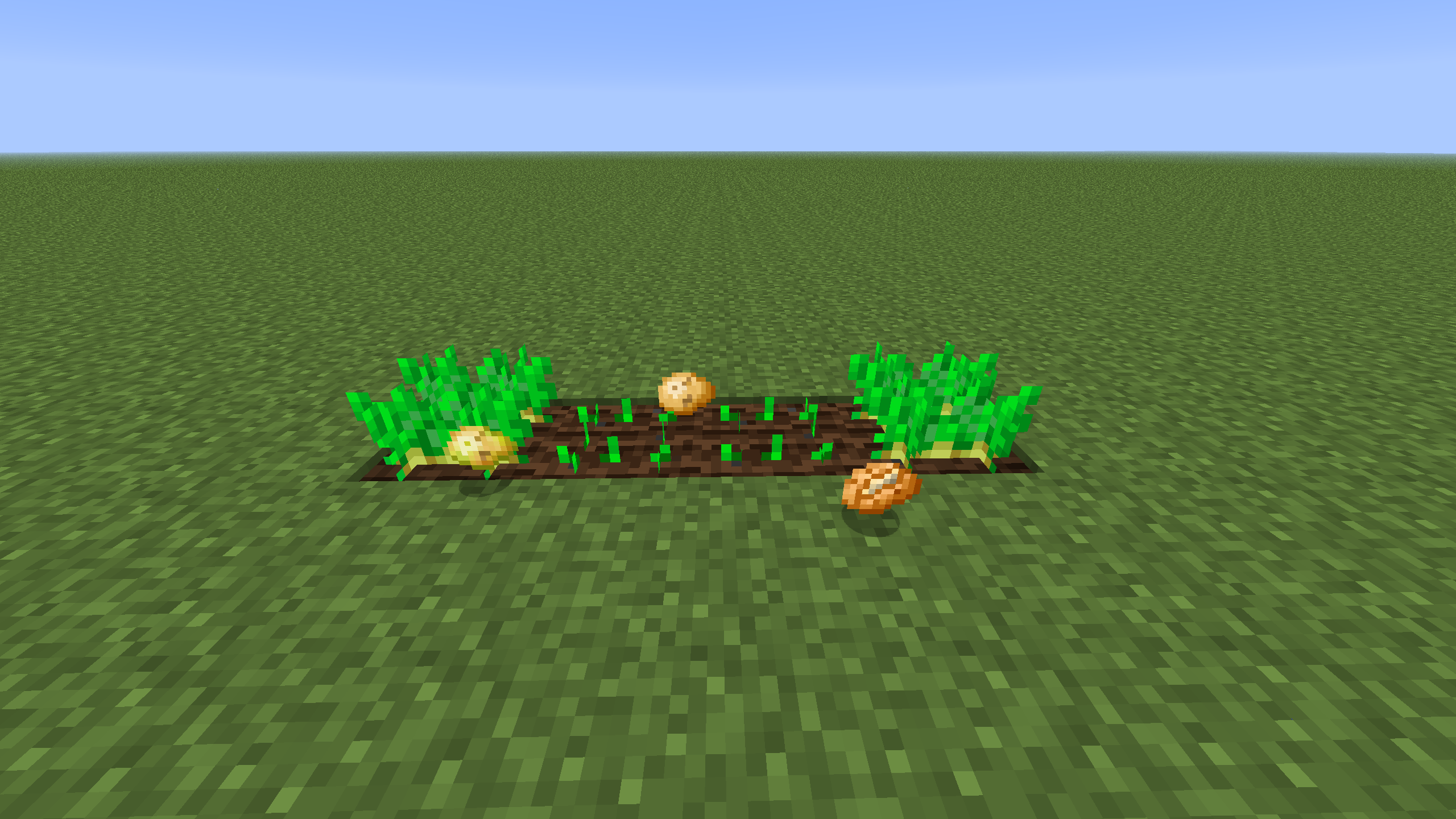 How To Plant Potatoes In Minecraft Macan Png