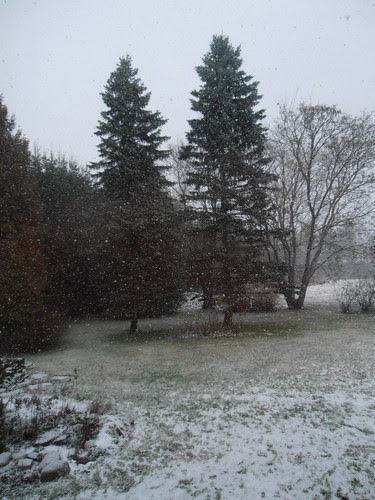 talvi 2013 018