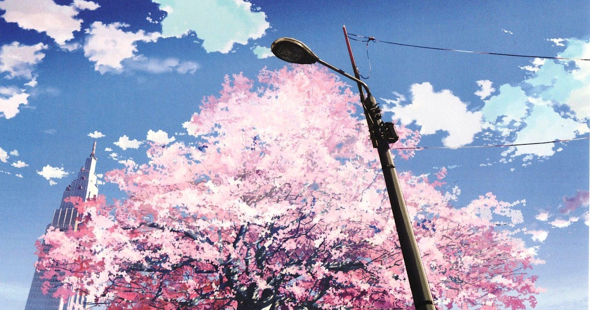 Aesthetic Wallpaper Anime Cherry Blossom Background - Inside my Arms