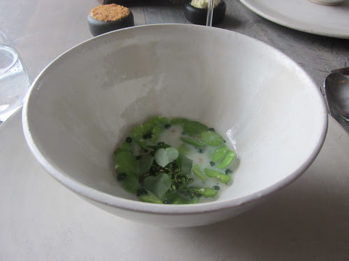 Noma - Copenhagen - August 2012 - Sous Vide Fava Beans and Beach Herbs
