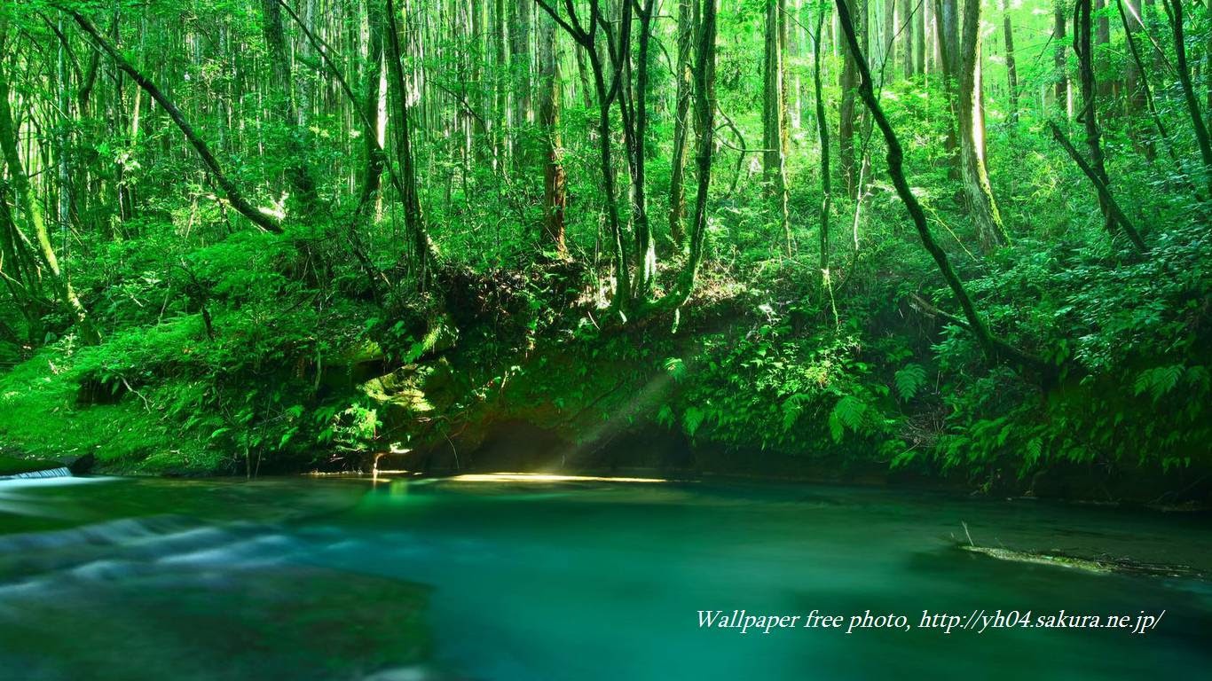 Jongeres 21年の最高 夏 壁紙 高 画質