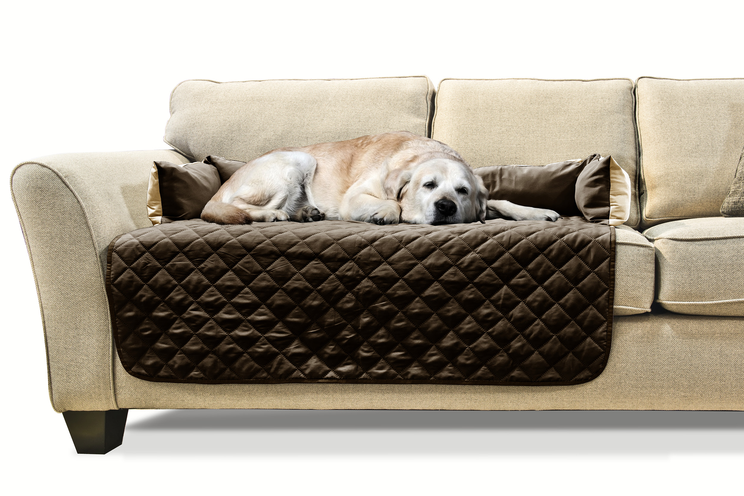 furhaven plush sofa pet bed bundle