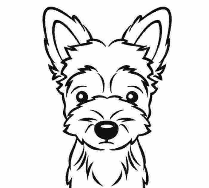 Yorkie Coloring Pages Printable - Coloring Pages Ideas
