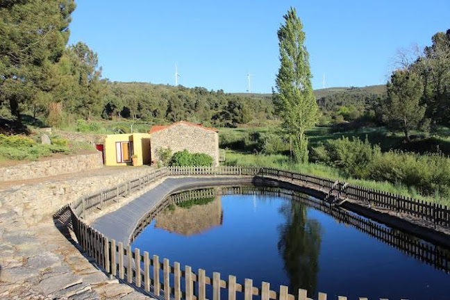 Moinhos D' Antoninha - Moimenta da Beira