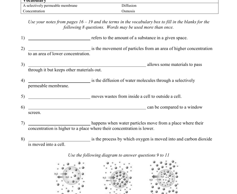 osmosis-diffusion-worksheet