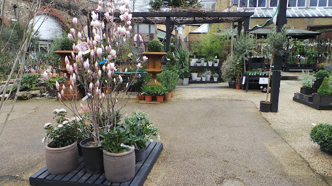 W6 Garden Centre and Cafe - Landscaper