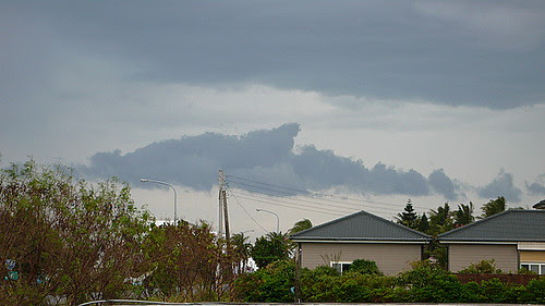 鯨鯊雲