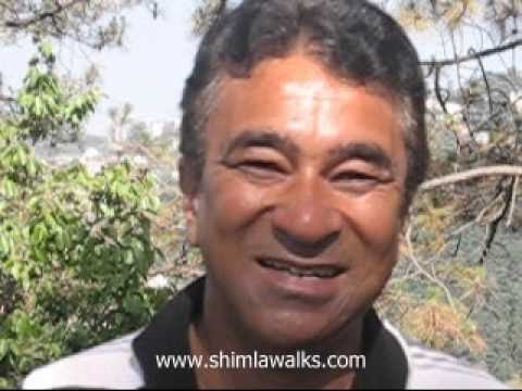 www.shimlawalks.com