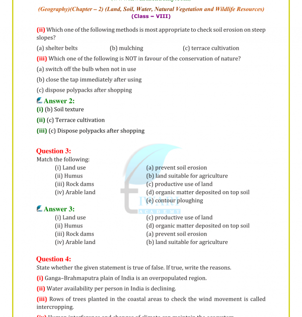 assignment paper class 8