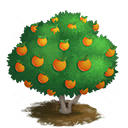 FarmVille 2: FarmVille 2: List of Trees!
