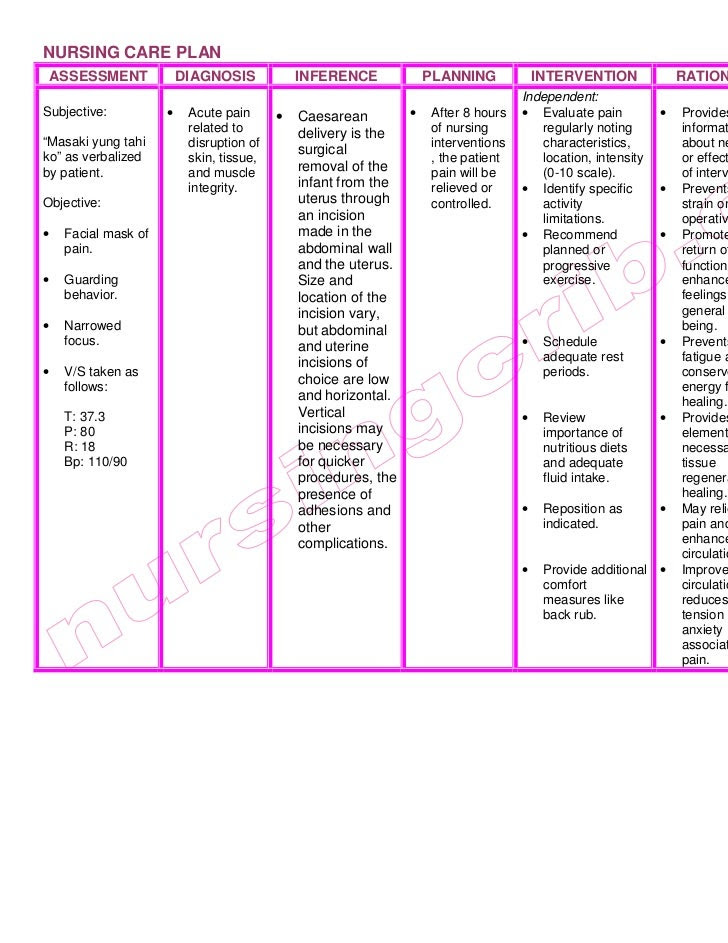 Contoh Feature Latar Belakang - Shoe Susu