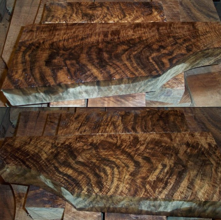 Exhibition Grade BLACK WALNUT W35