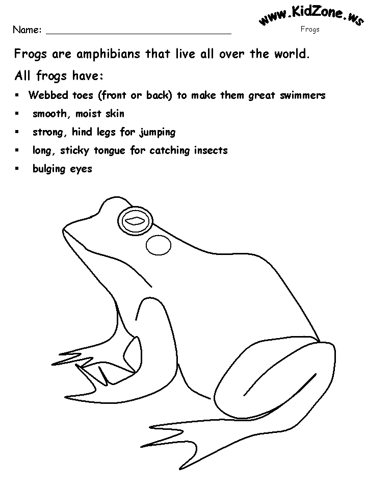 basic-files-are-amphibians-worksheets