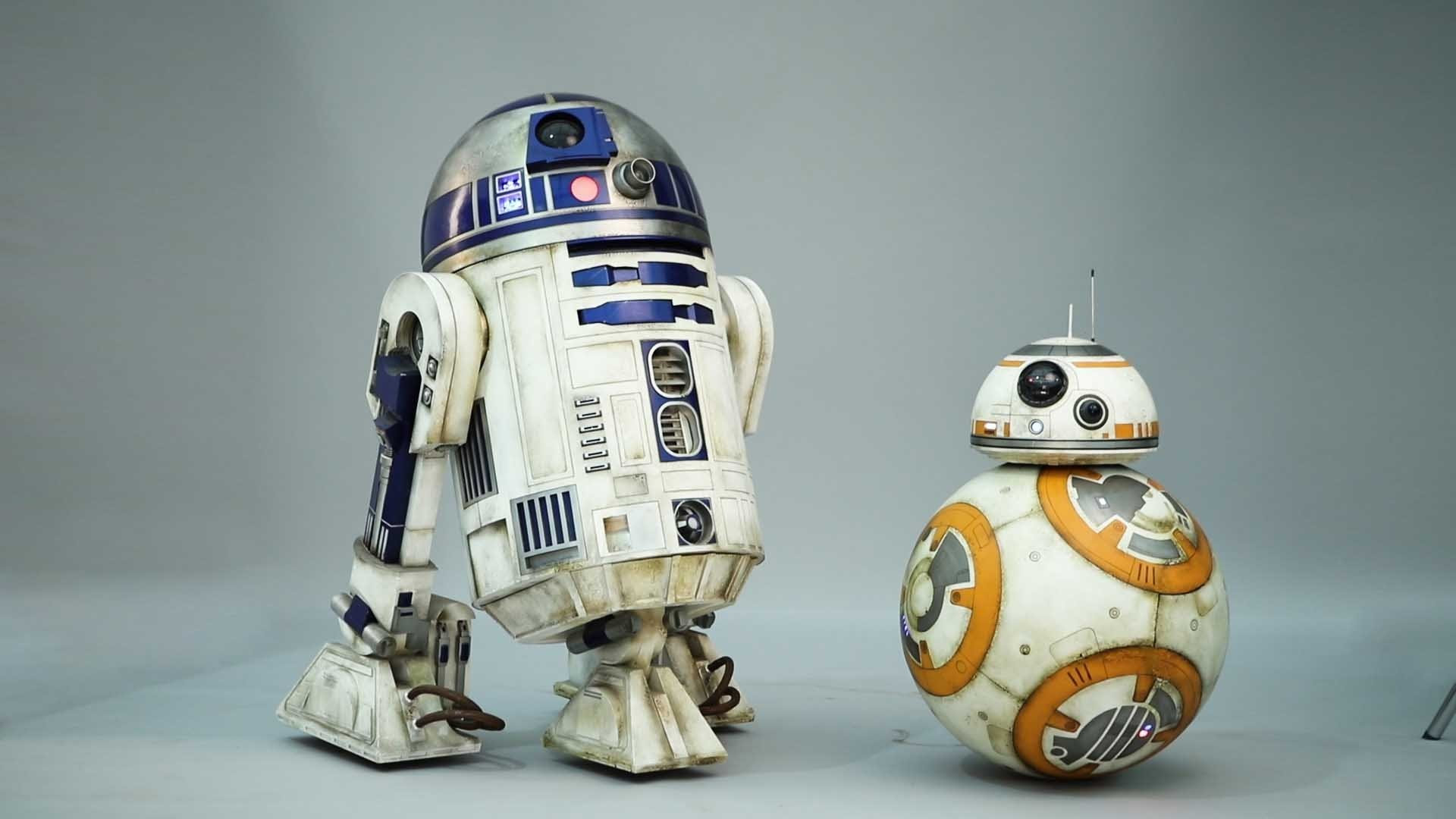 すべての花の画像 ベスト50 Bb8 R2d2 壁紙