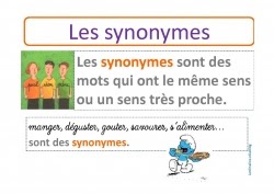 synonymes ce1 ce2 vocabulaire affichages exercices alysse exercice leon