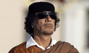 images (8)