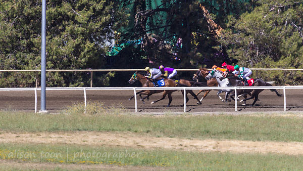Race six, Sacramento card at the California State Fair