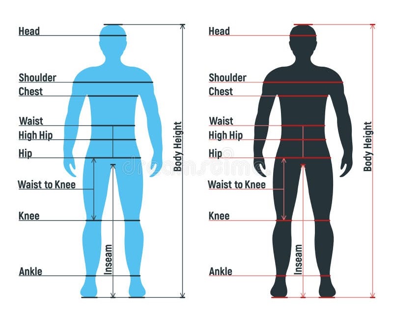 Back Side Body Parts / Free Human Body Organs Download Free Human Body