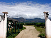 180px-Argentine_vineyard_and_mountains.