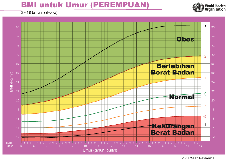 Rumus Berat Badan Ideal Anak Menurut Who Delinewstv