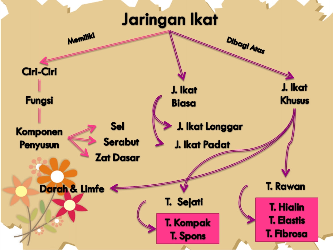 Eka Indah A M JARINGAN  PADA HEWAN 