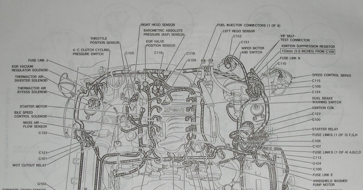 2000 Ford Mustang Fuse Diagram : Ford Mustang V6 And Mustang Gt 1994