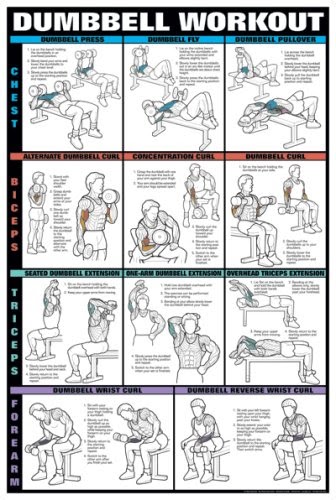 bowflex-hand-weights-dumbbell-workout-charts-by-fitnus-chart-series