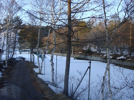 DSC05254