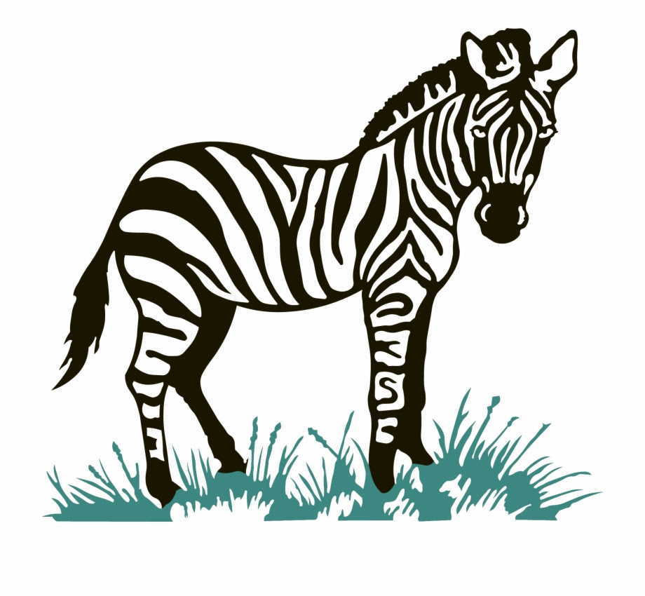 22+ Gambar Animasi Zebra - Galeri Animasi