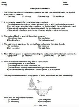 biogeochemical cycles assignment answer key