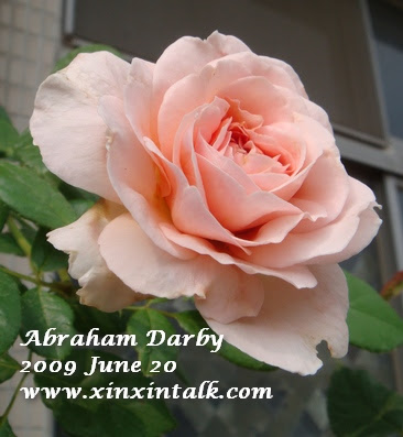 Abraham Darby Abraham Darby