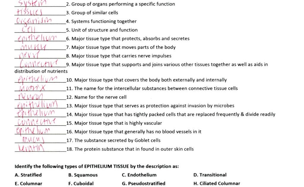 15-anatomy-and-physiology-coloring-book-answer-key-appendicular-skeleton-labeling-blank