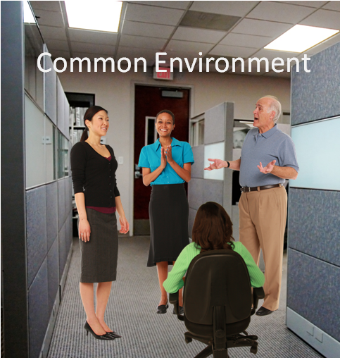 Common Environment