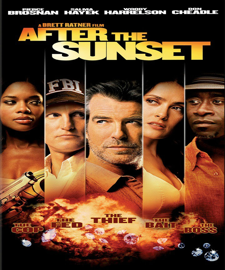 After The Sunset 2004 BDRip 1080p Dual Audio [Hindi RM 5.1Eng 5.1