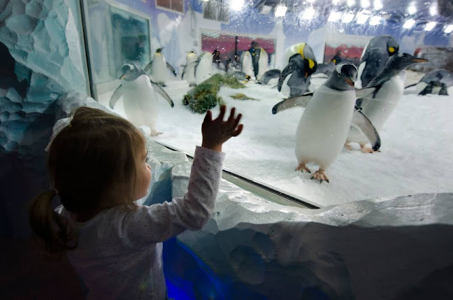 SEA LIFE Kelly Tarlton's Aquarium - Auckland