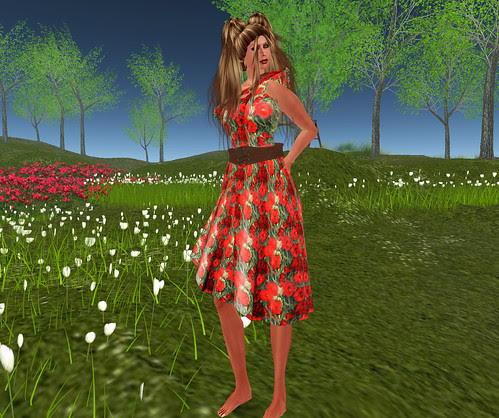 22769 poppy dress