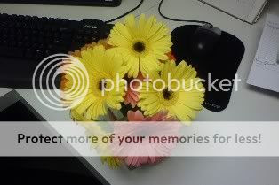 Photo Sharing and Video Hosting at Photobucket