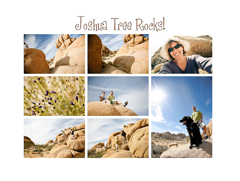 march 5 josh tree 014 (Sheet 10)