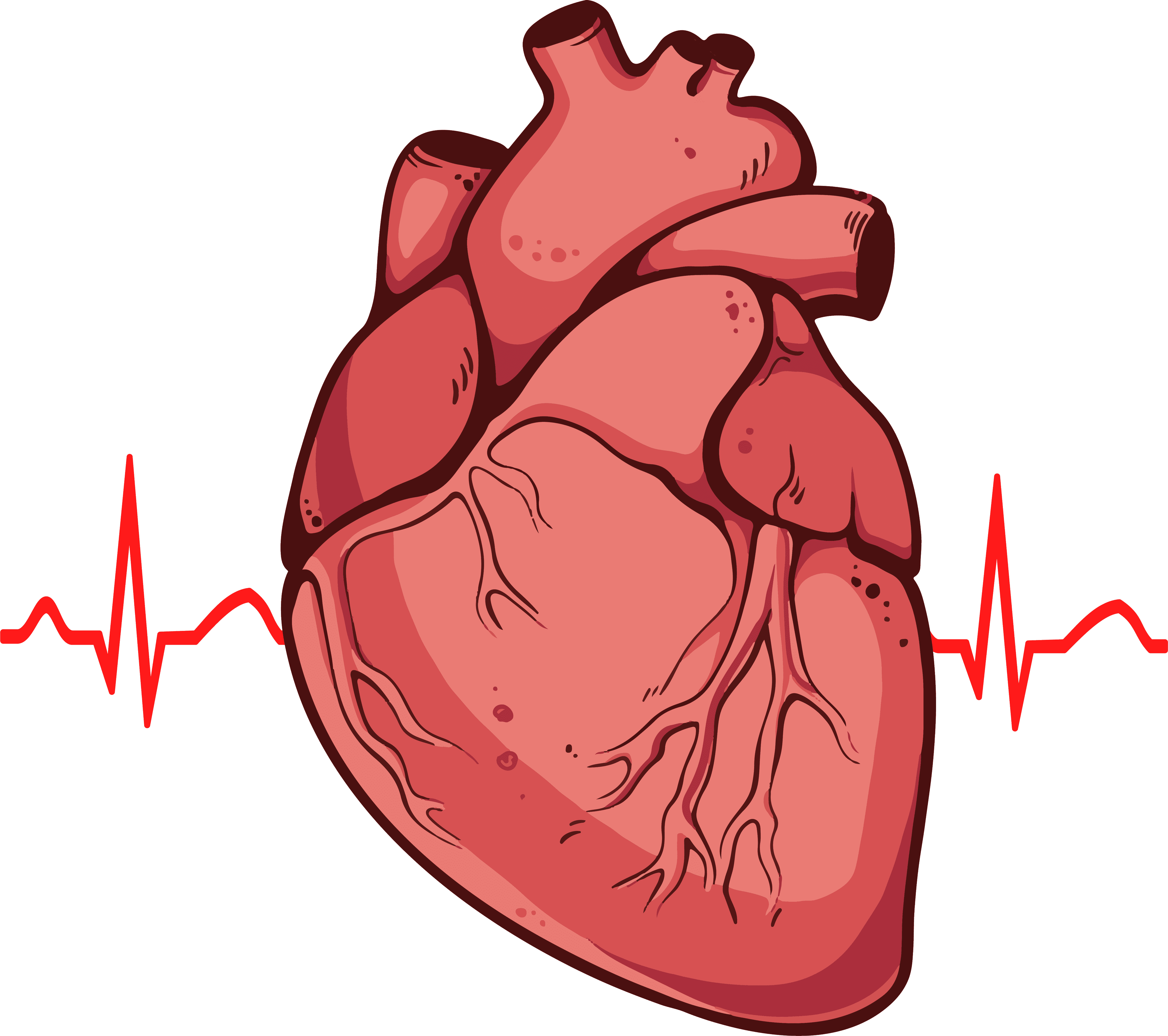 Vector Human Heart Illustration Download Illustration 2020