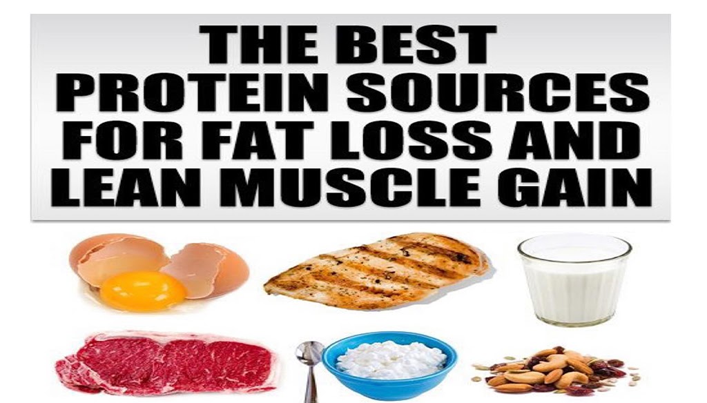 Best Protein Food For Muscle Gain And Fat Loss - ansiedadedefine