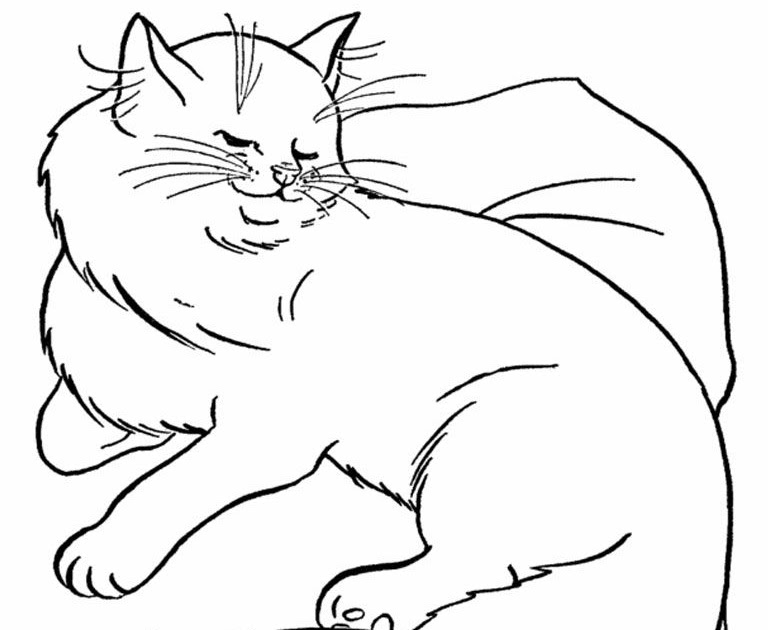 Cute Realistic Kitten Colouring Pages - Kitten