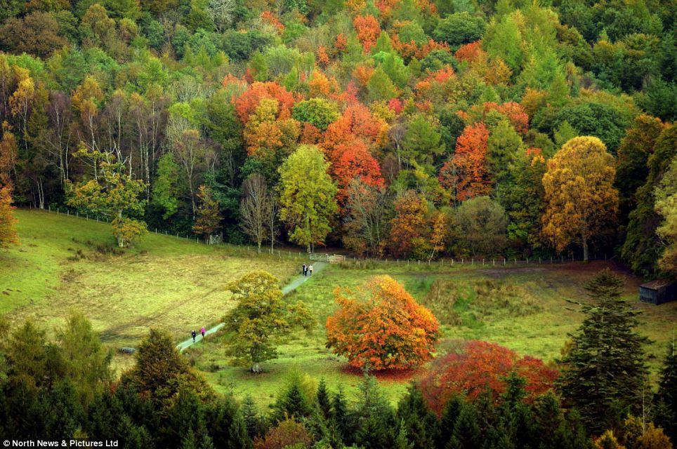 People and Places: FALL IS HERE: THE LEAF PEEPING SEASON