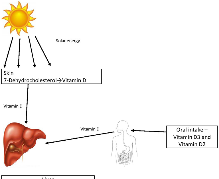 Vitamin D Kidney Disease - VitaminWalls