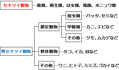 な が セキツイ ない 動物 無 もの を の 何 動物 に よう という 足 節 で ミミズ