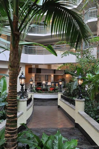 Hotel «Embassy Suites by Hilton Walnut Creek», reviews and photos, 1345 Treat Blvd, Walnut Creek, CA 94597, USA