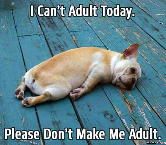 Image result for i can't do adult today