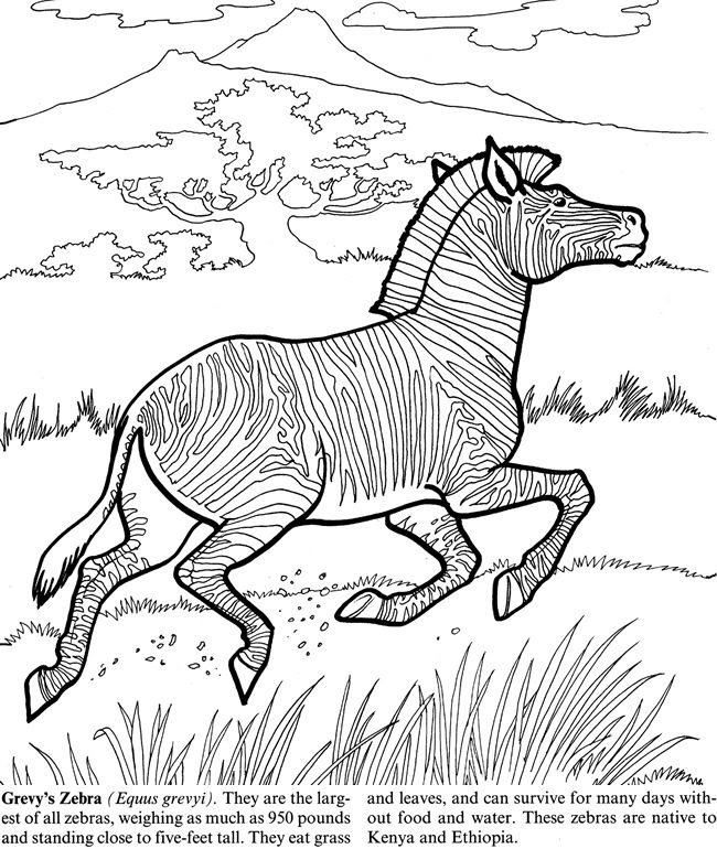 Download 43+ Extinct Animals Coloring Pages PNG PDF File